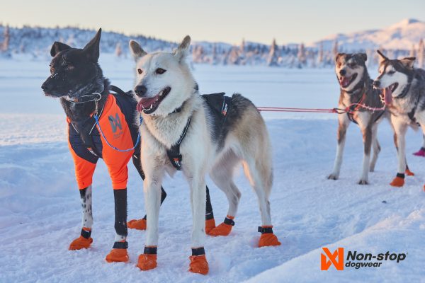 Nansen Nome Harness – Bild 5