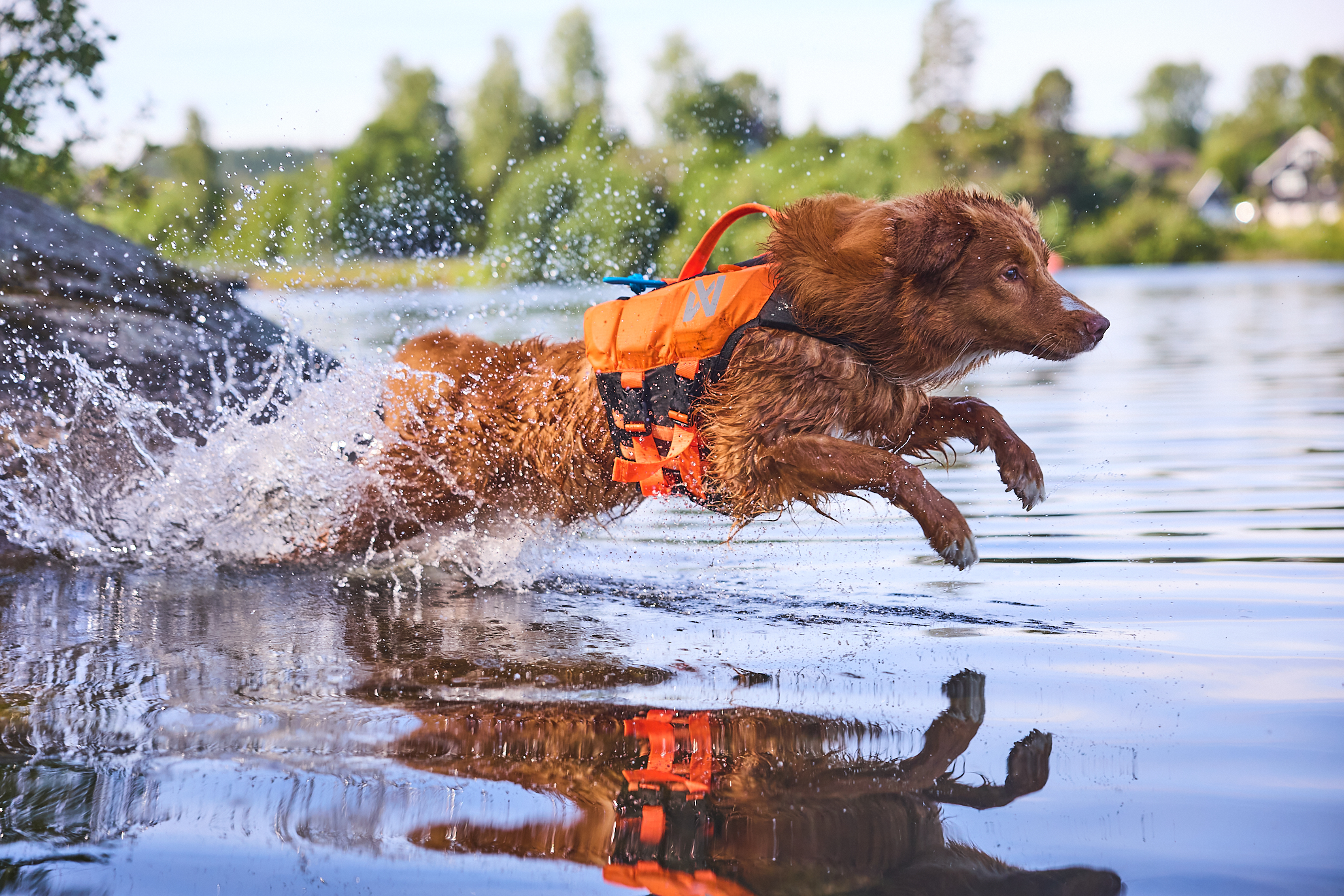 Protector Life Jacket – Bild 9