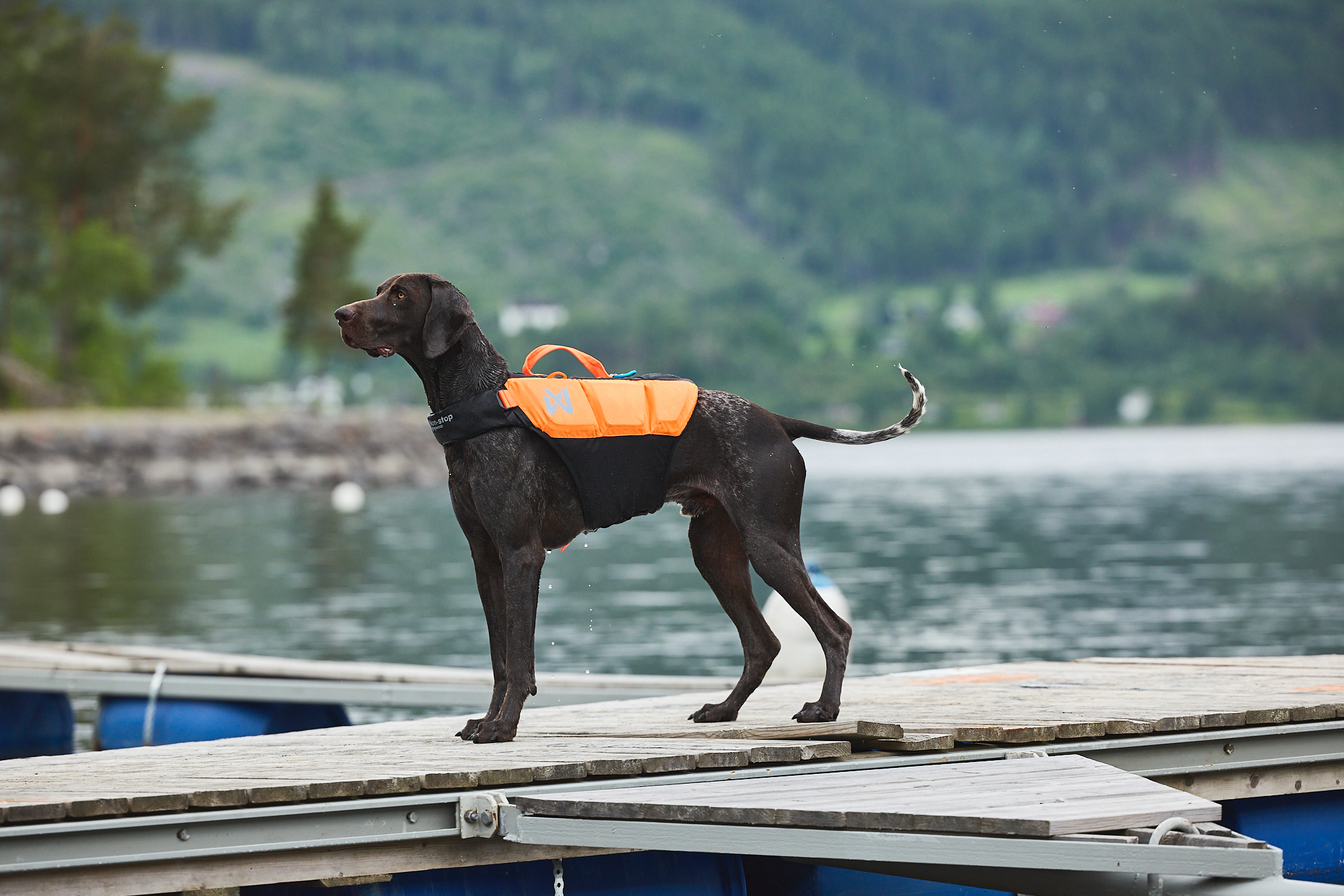Protector Life Jacket – Bild 2