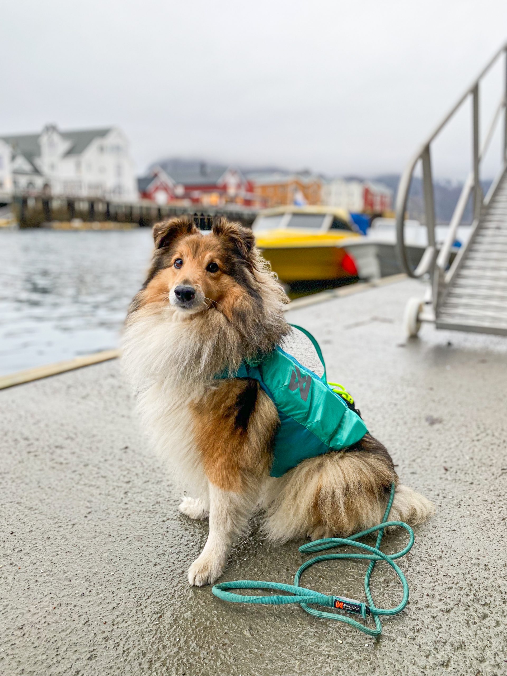 Protector Life Jacket – Bild 12