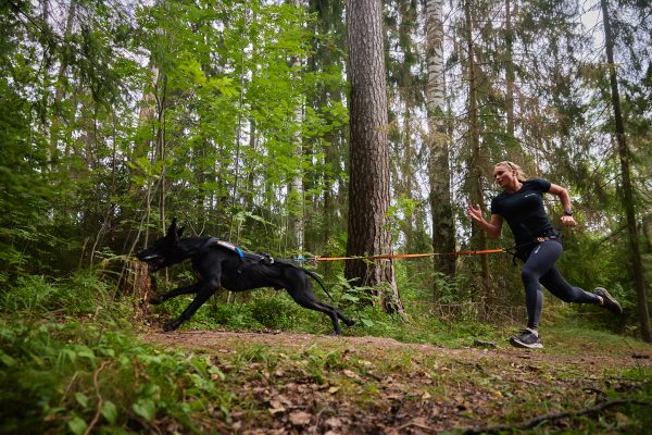 Bungee Leash – Bild 2