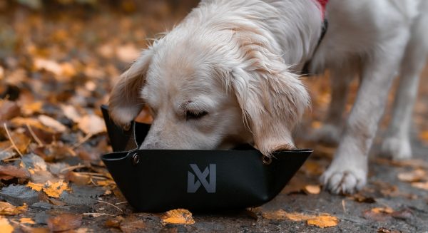 Trekking Bowl – Bild 2