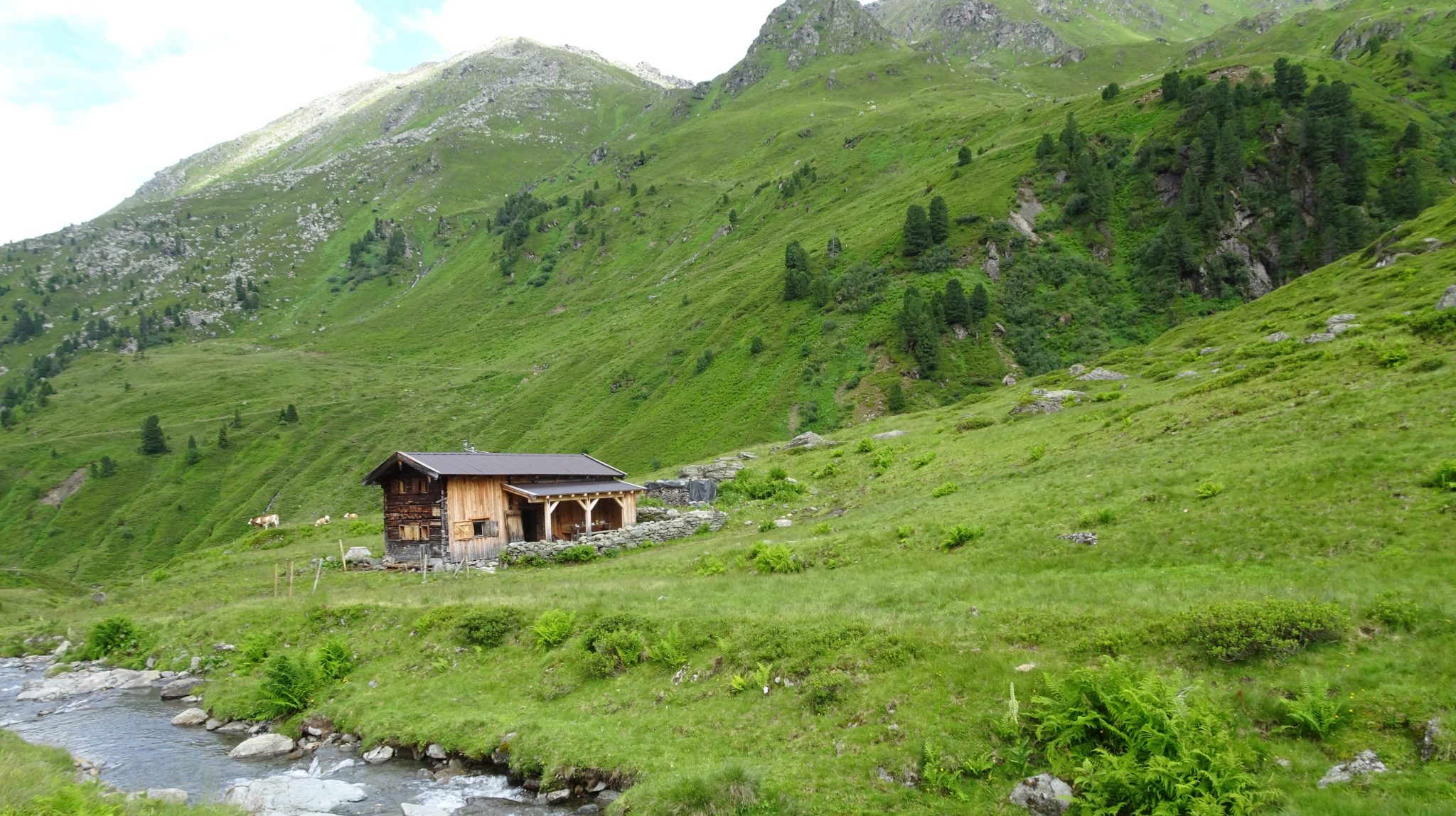 Rosswildalpe_mieten_Alpen_Ferienhaus_DSC04877hjk