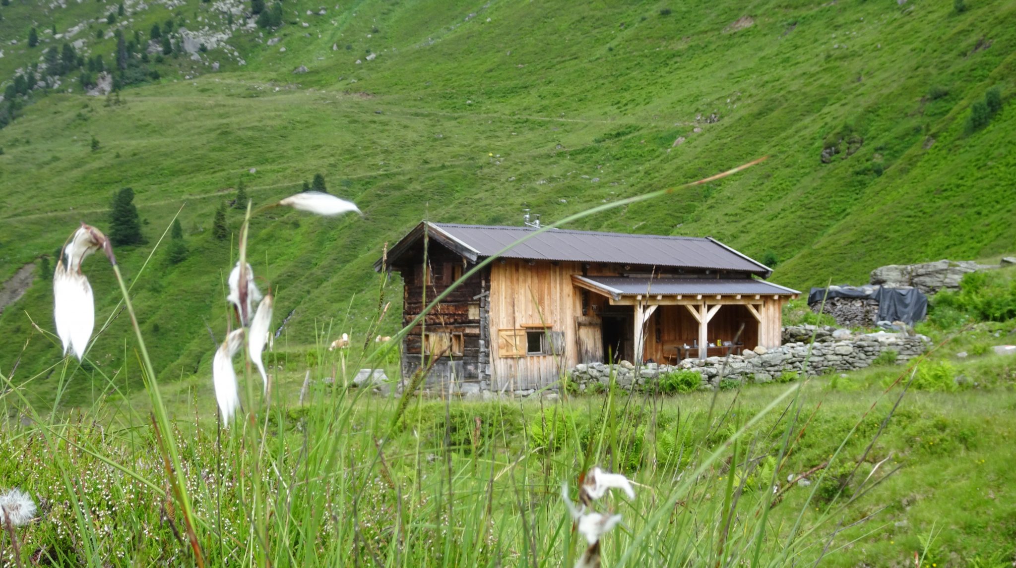 Rosswildalpe_mieten_Alpen_Ferienhaus_DSC04880 (1)vhlömölk