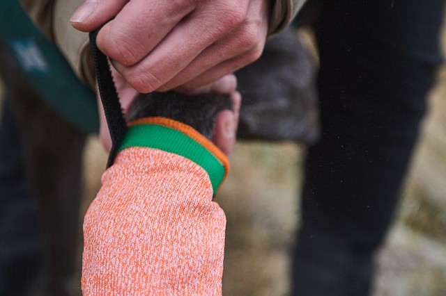 Protector light socks – Bild 2