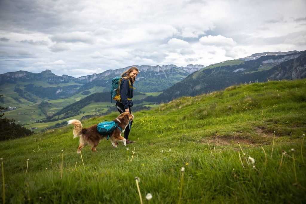 Trail quest dog backpack – Bild 5