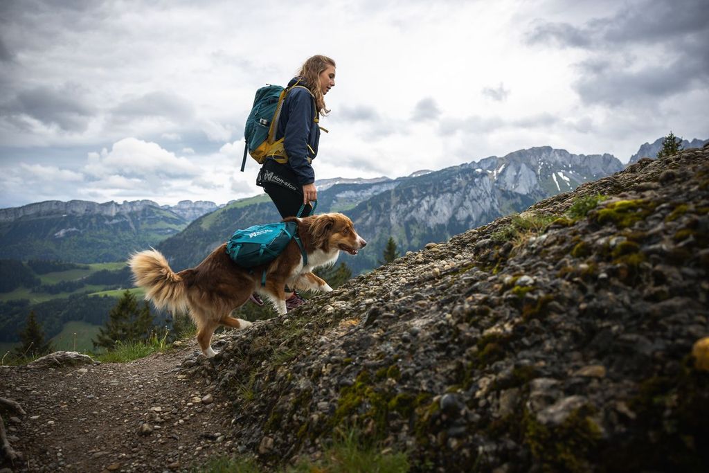 Trail quest dog backpack – Bild 3