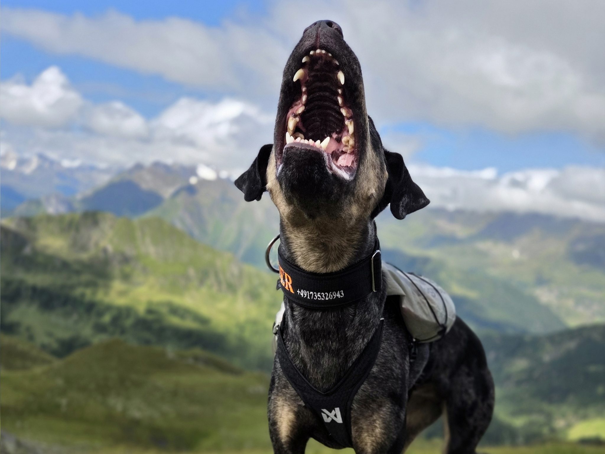 20250729_103112(0)dfsa