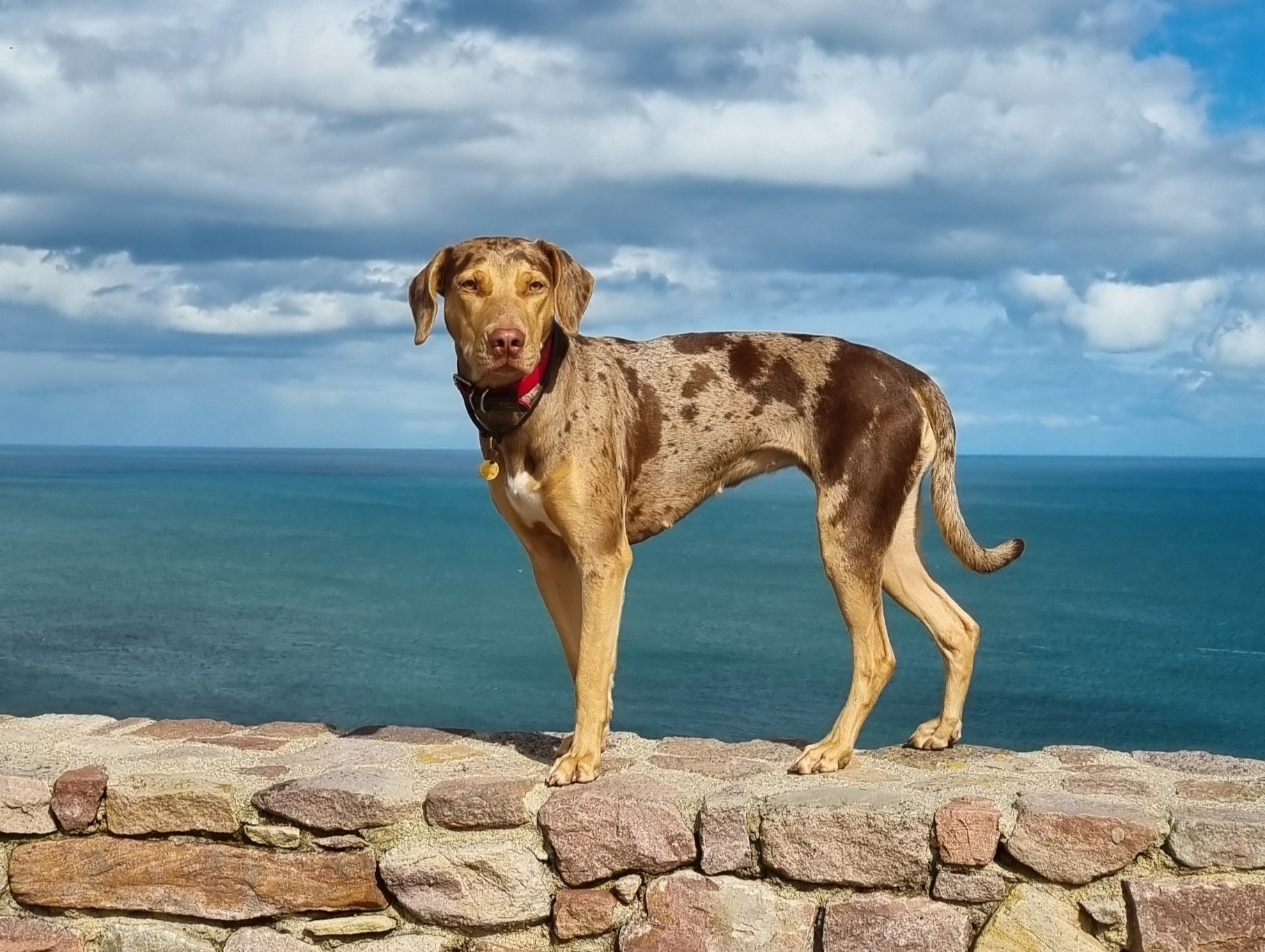 20240329_152548