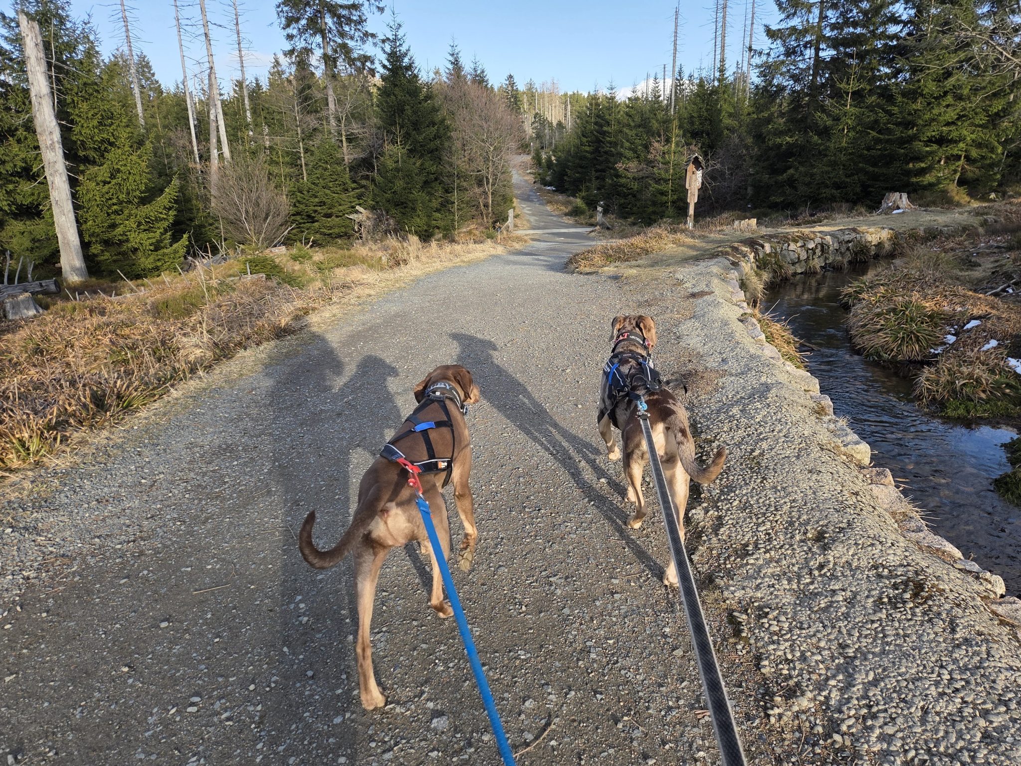20260327_171654